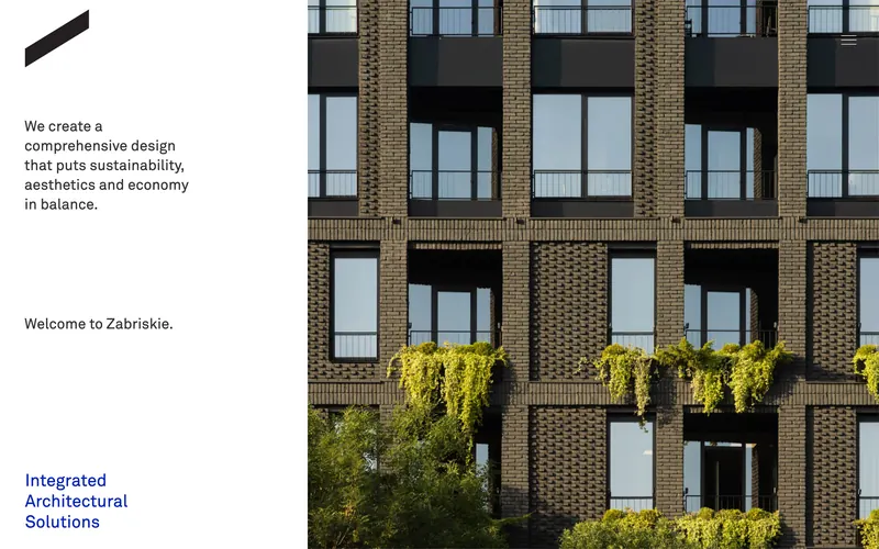 Zabriskie website by Soft IT Land